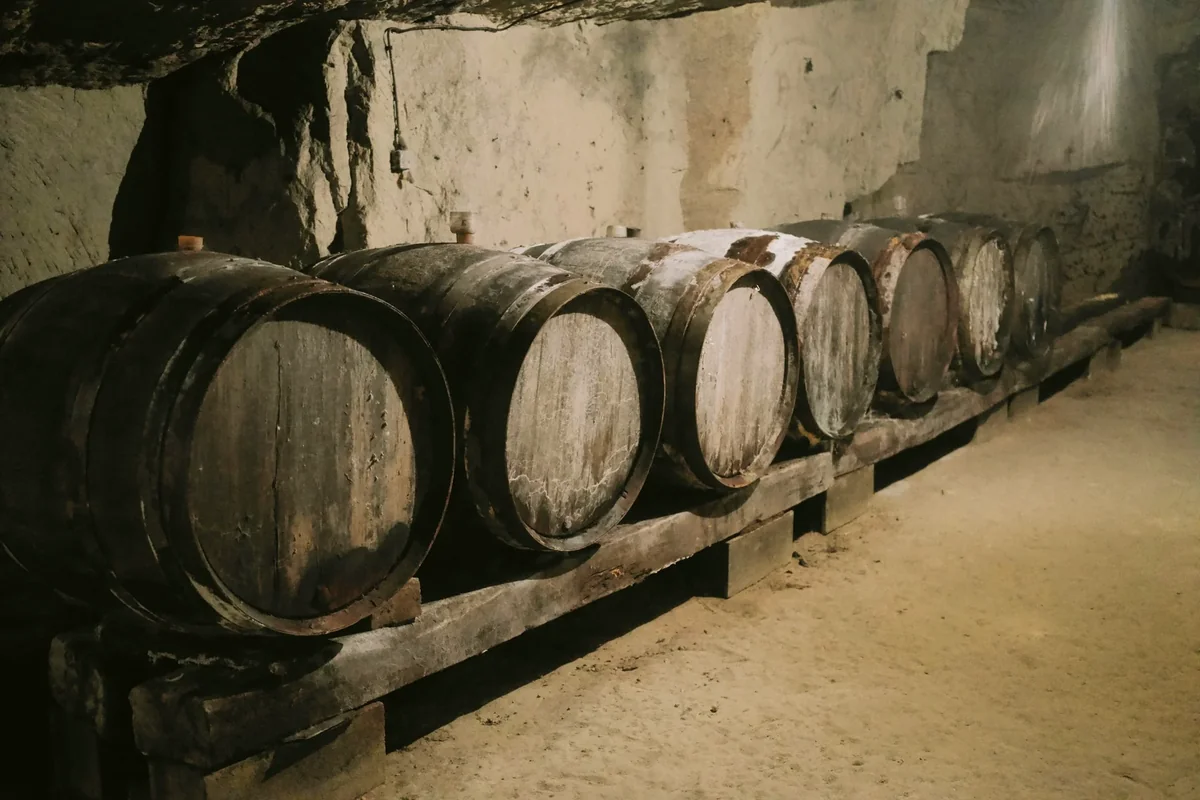 Bouteilles de vin dans une cave voûtée en pierre